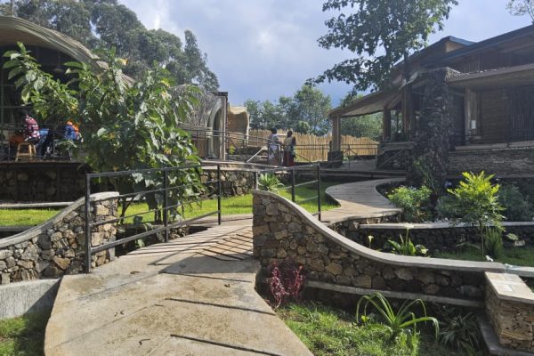 WhatsApp Image 2026-01-22 at 7.57.25 AM